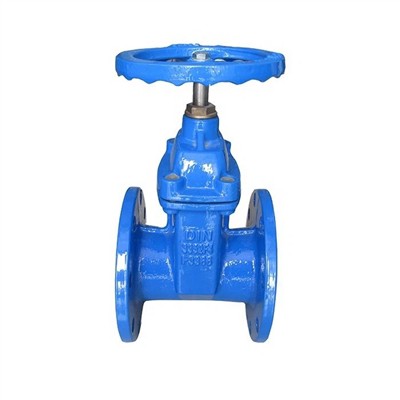 Kho Cov Hnav Ntawm Sealing Nto Ntawm Flanged End Gate Valve